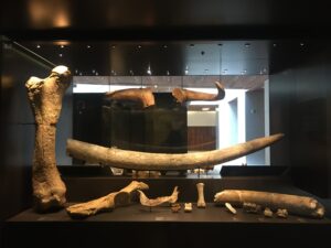 C. de M. – Temas 3, 4, 5 y 6